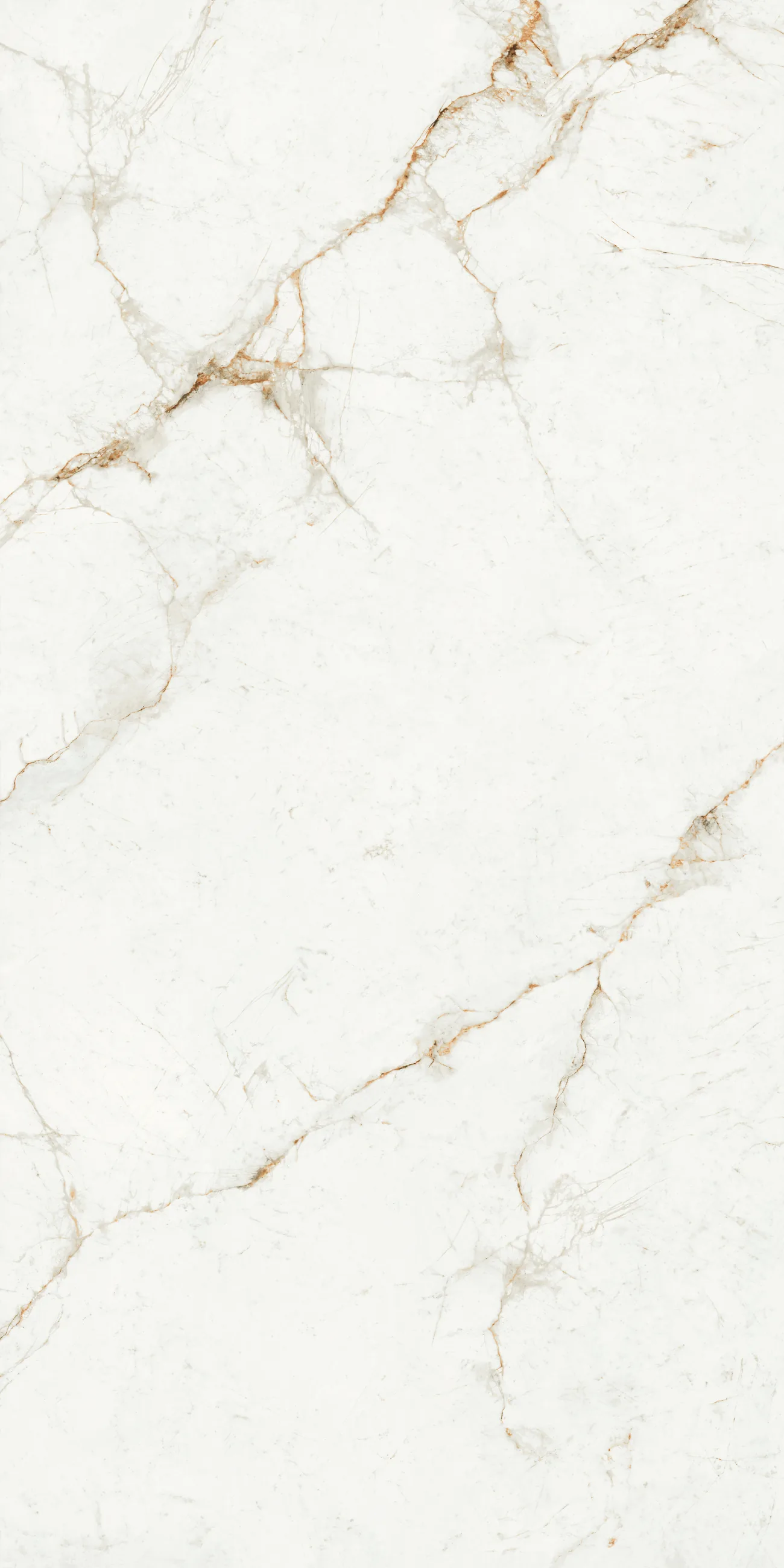 Marfil 20mm matt full porcelain slab